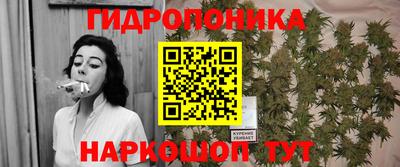 эйфоретик Бузулук