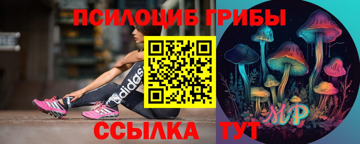 Псилоцибиновые грибы Psilocybine cubensis Семёнов